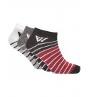 Winget Pack Of 3 Striped Ankle Length Socks